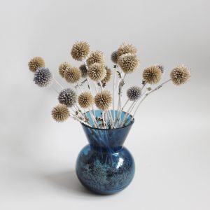Adorable Echinops Vase