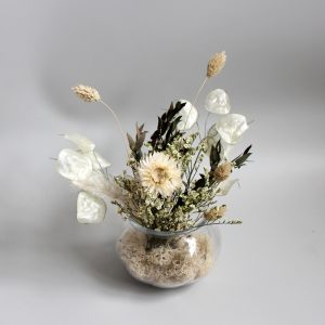 Creamy in White Vase