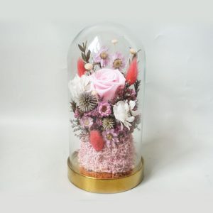 Mini Flower Garden in Dome