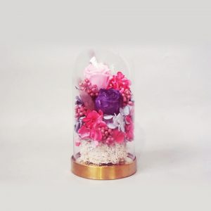 Mini Flower Garden in Dome - Pink Purple