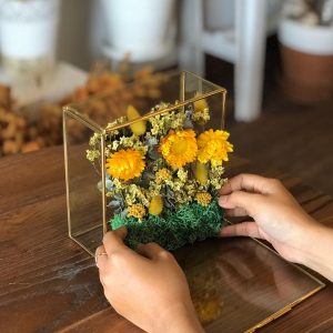 DIY Flower Aqua Kit