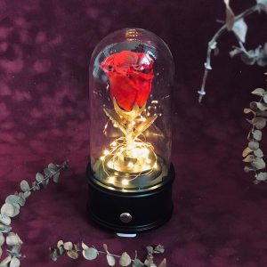 Dried Flower Bluetooth Speaker - Black