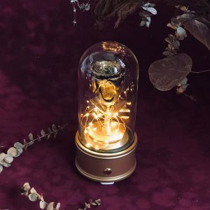 Dried Flower Bluetooth Speaker - Gold